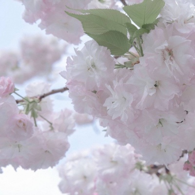 兽设黎明场景绘制兽圈社群